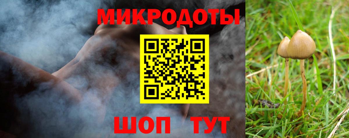 Псилоцибиновые грибы MAGIC MUSHROOMS  Вход с VPN  Хасавюрт 