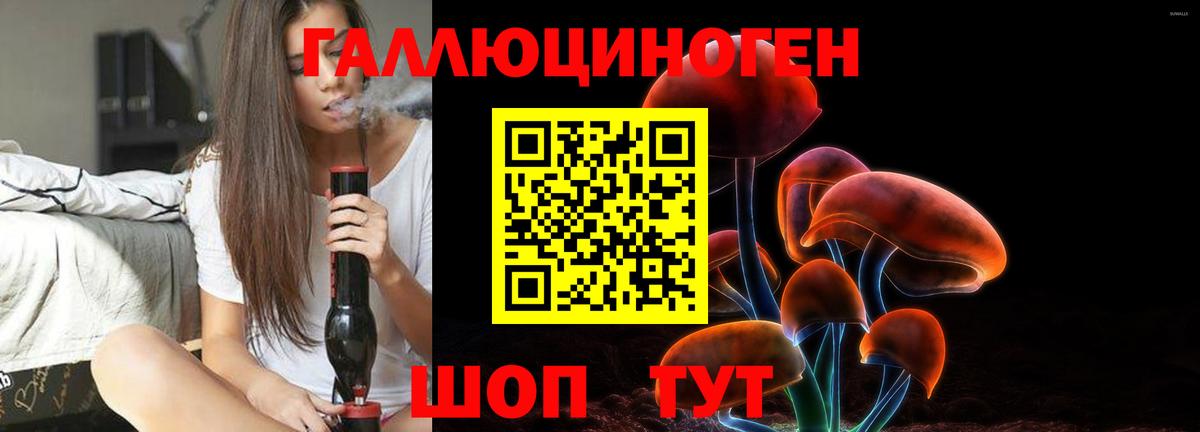 Псилоцибиновые грибы Cubensis Хасавюрт