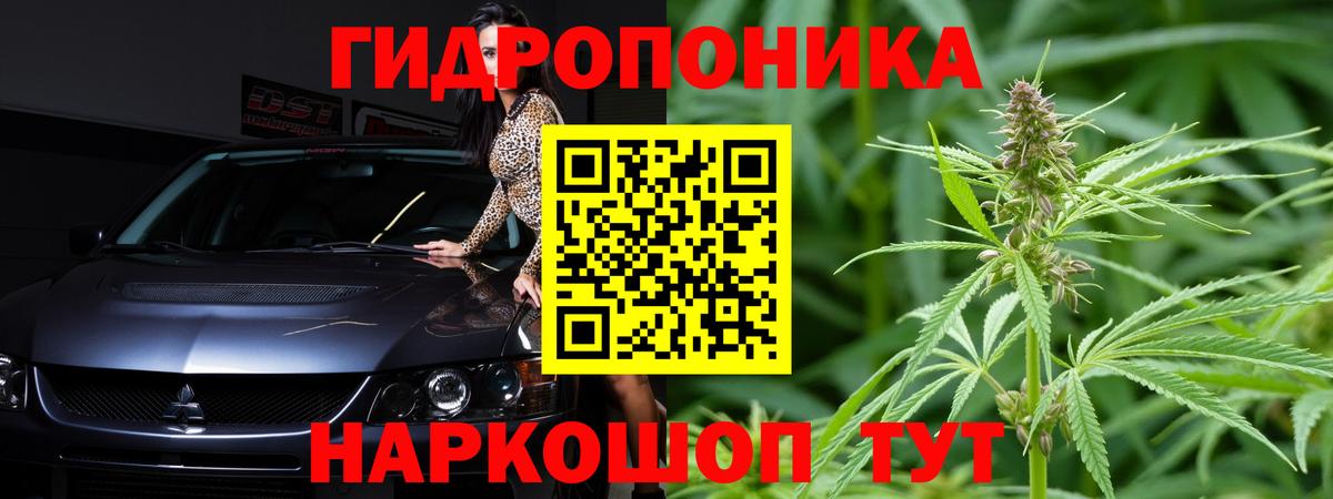 Хасавюрт  Марихуана Ganja  Бошки марихуана сатива  Вход с VPN 